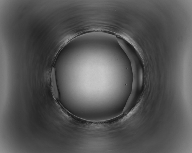 X0000086890993200704161243