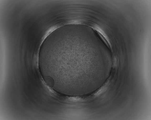 X0000086890994200704161243