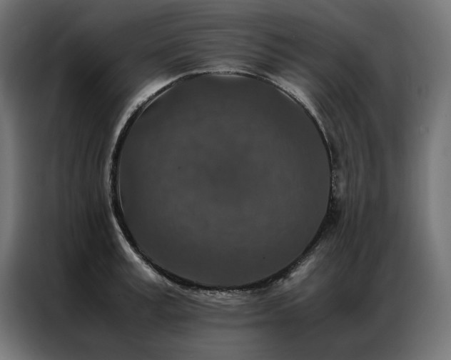 X0000086890995200704161243