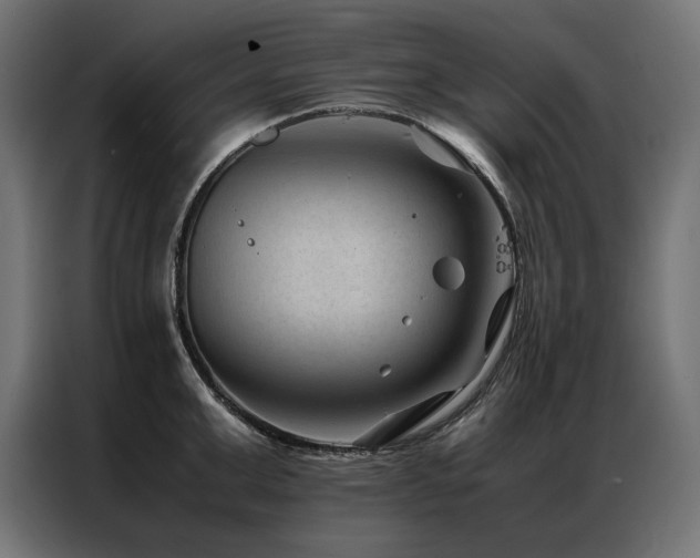 X0000086890999200704161243