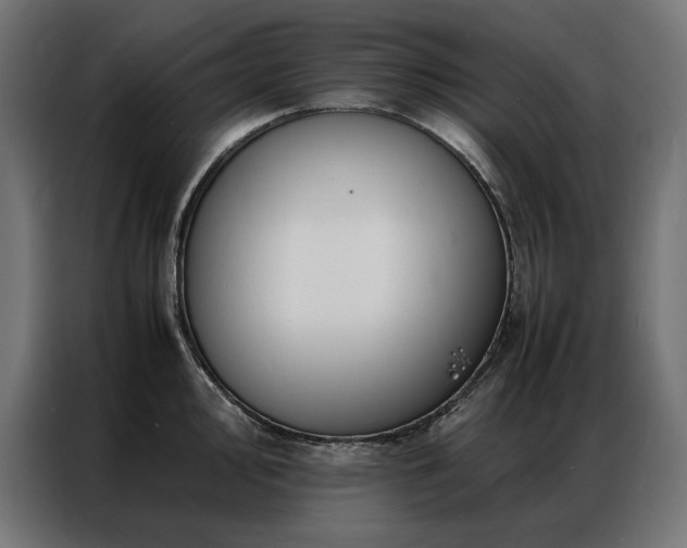 X0000086891000200704161243