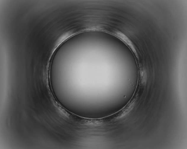 X0000086891002200704161243