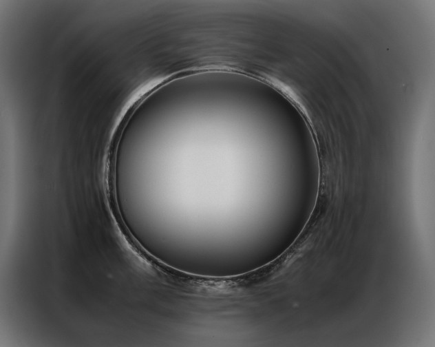 X0000086891003200704161243