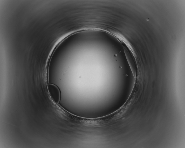 X0000086891004200704161243