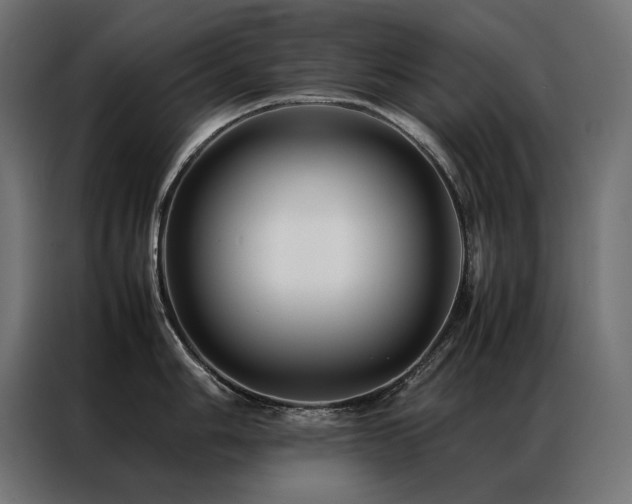 X0000086891006200704161243