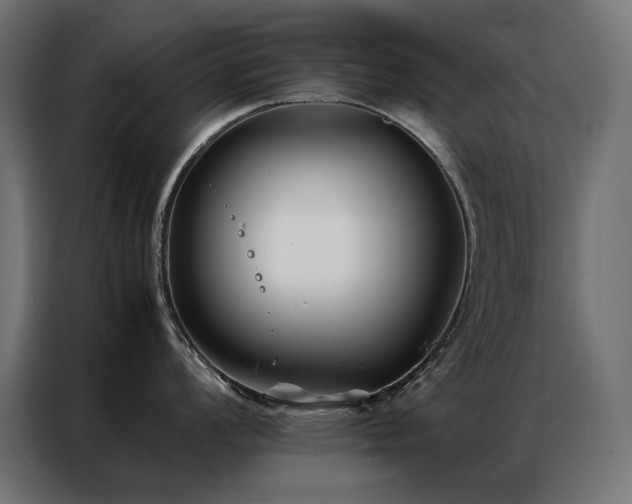 X0000086891008200704161243