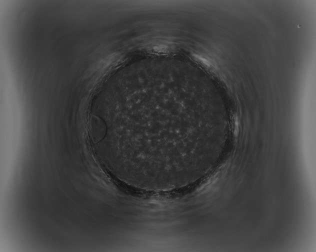 X0000086891009200704161242