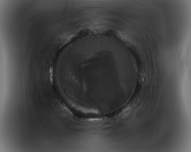 X0000086891010200704161242