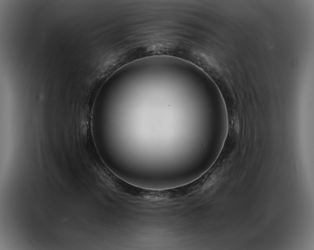 X0000086891012200704161242