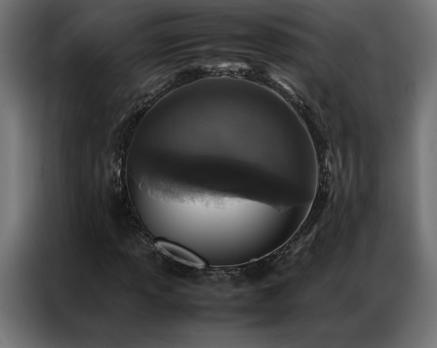 X0000086891013200704161242