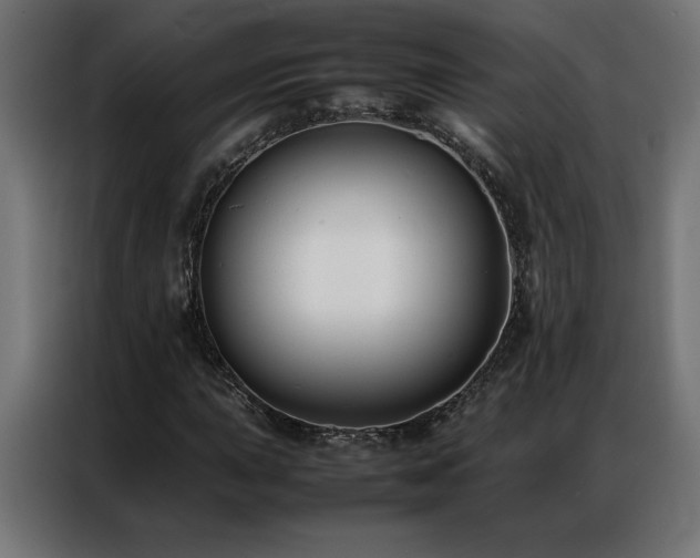 X0000086891015200704161242