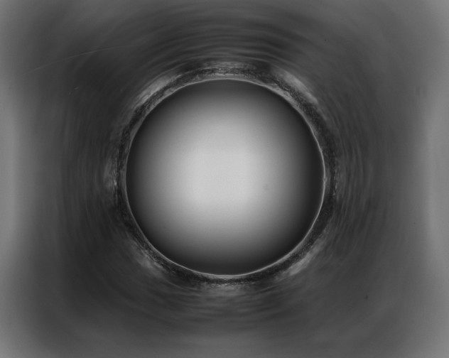 X0000086891017200704161242