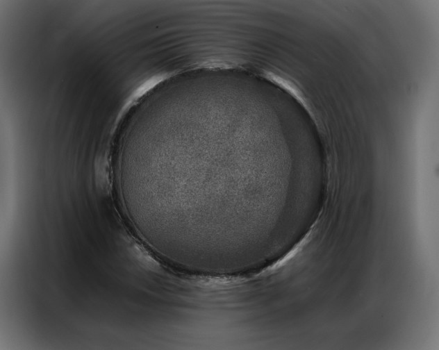 X0000086891018200704161242