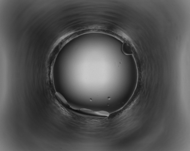 X0000086891019200704161242