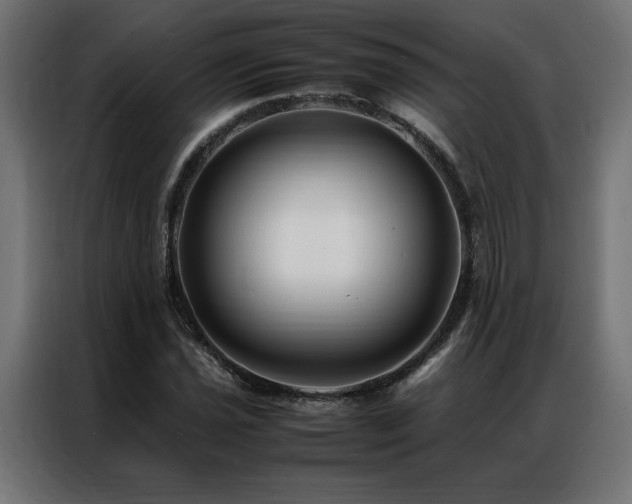 X0000086891021200704161242