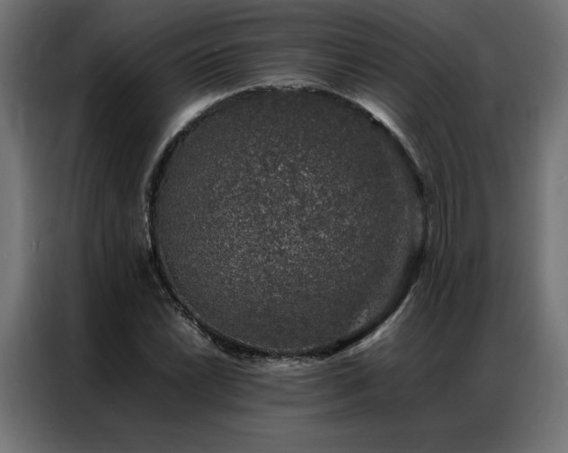 X0000086891022200704161242