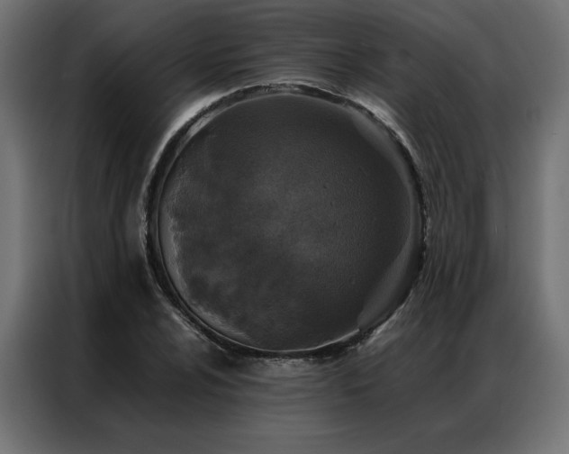 X0000086891024200704161242