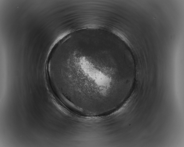 X0000086891026200704161242