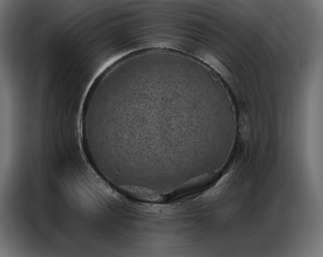 X0000086891028200704161242