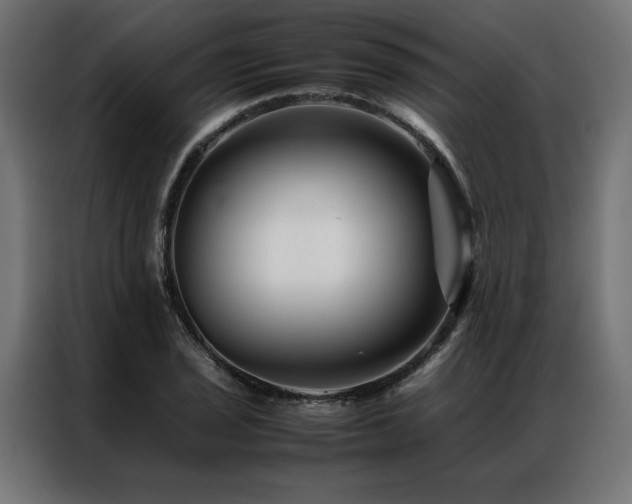 X0000086891029200704161242