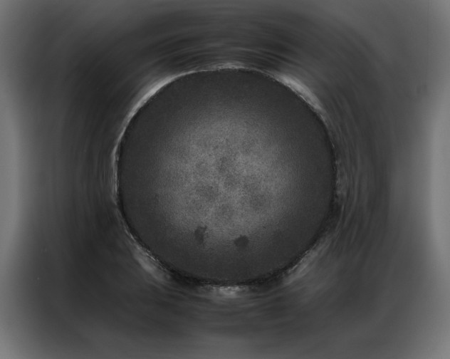 X0000086891031200704161242