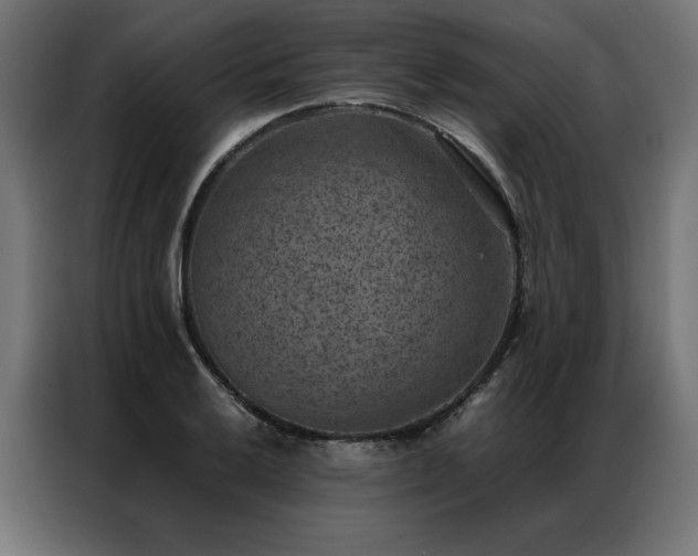 X0000086891032200704161242