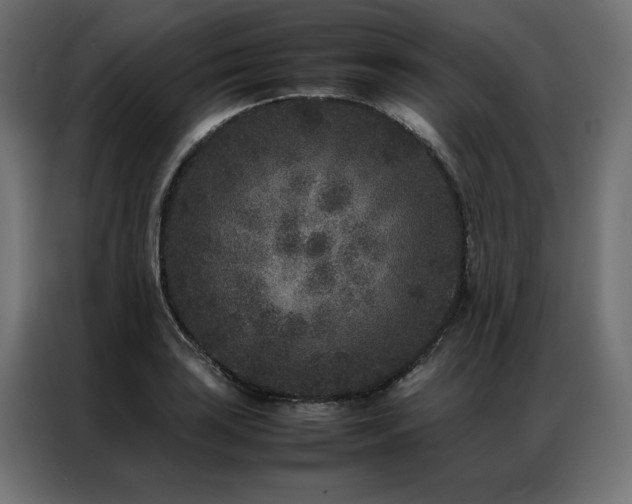 X0000086891035200704161242