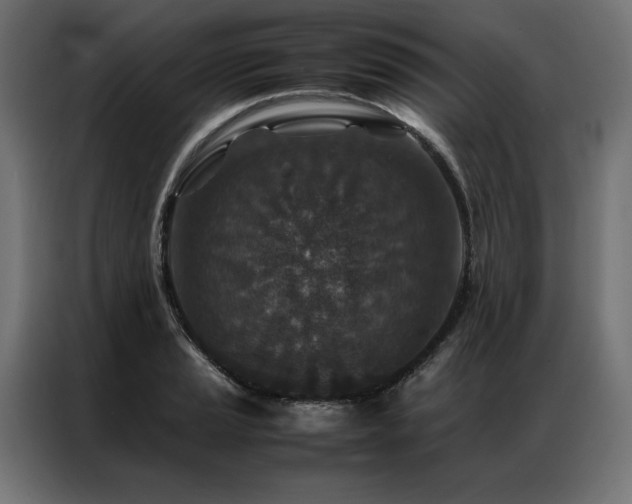 X0000086891037200704161242