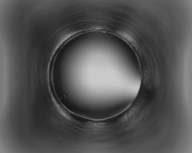 X0000086891039200704161242