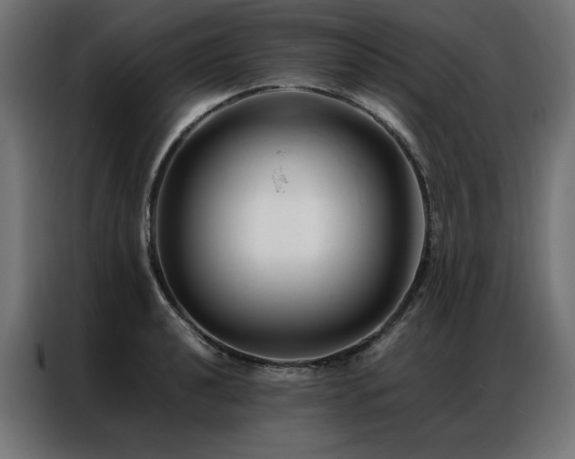 X0000086891040200704161242