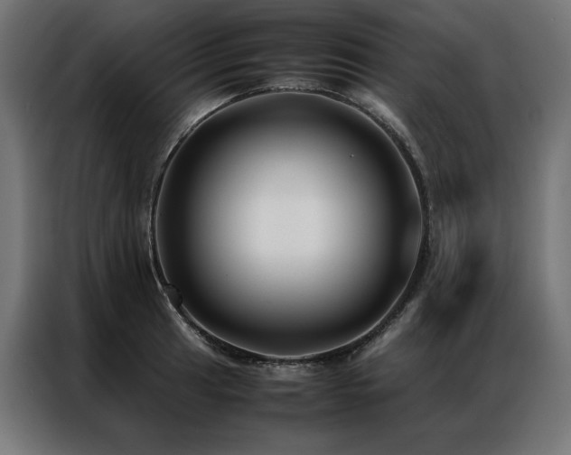 X0000086891041200704161242