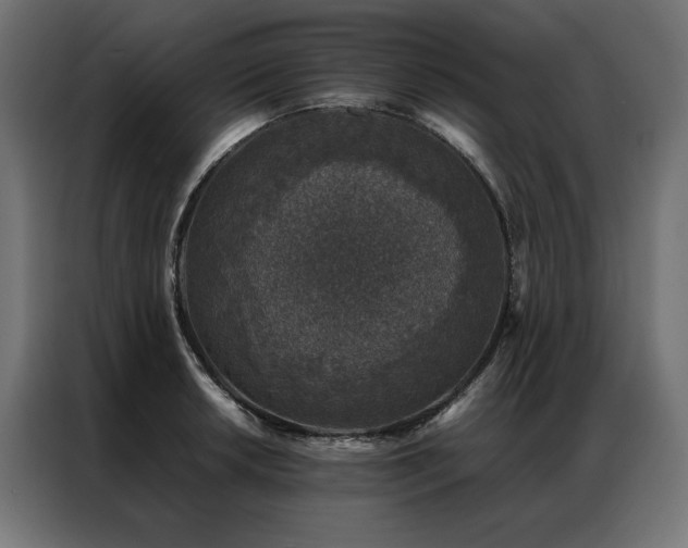 X0000086891042200704161242