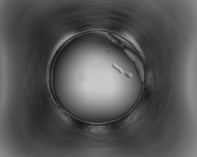 X0000086891043200704161242