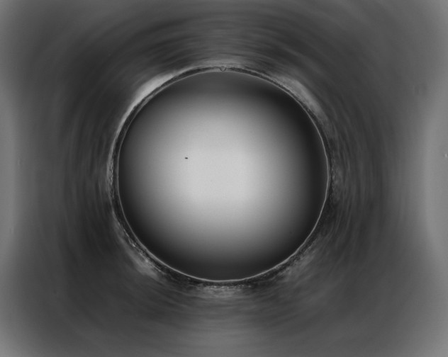 X0000086891044200704161242