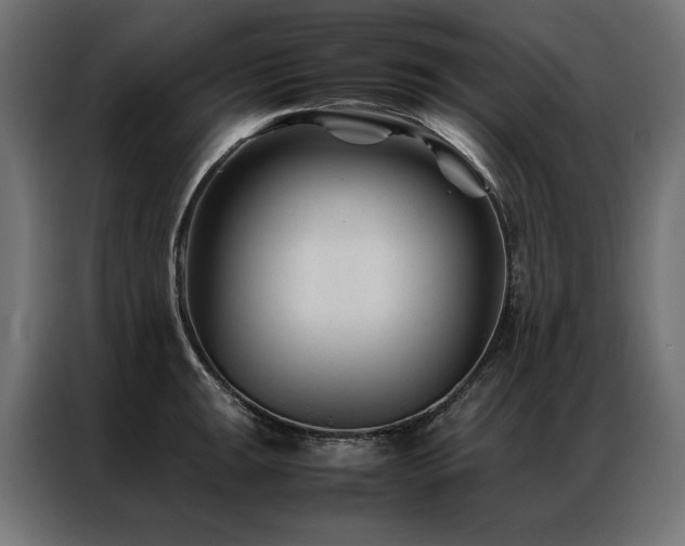 X0000086891047200704161242