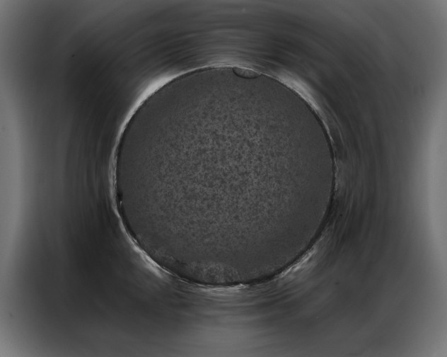 X0000086891048200704161242