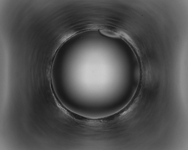 X0000086891049200704161243