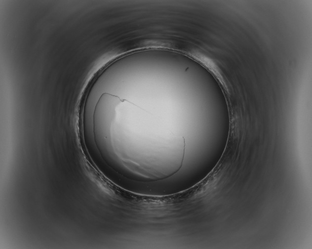 X0000086891051200704161243