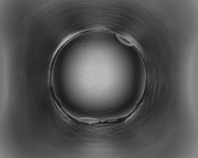 X0000086891052200704161243