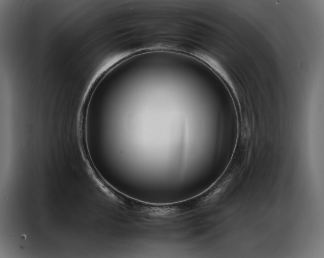 X0000086891053200704161243