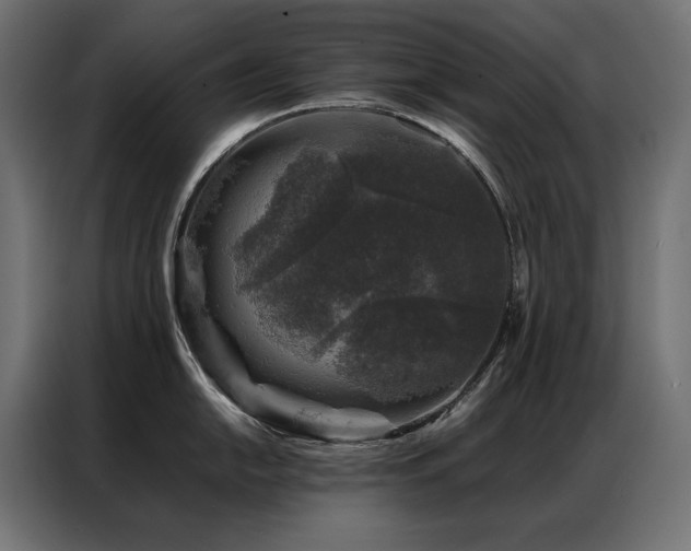 X0000086891054200704161243