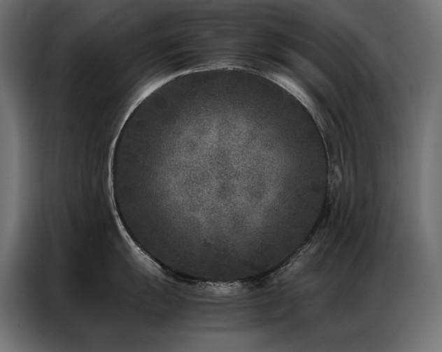 X0000086891055200704161243