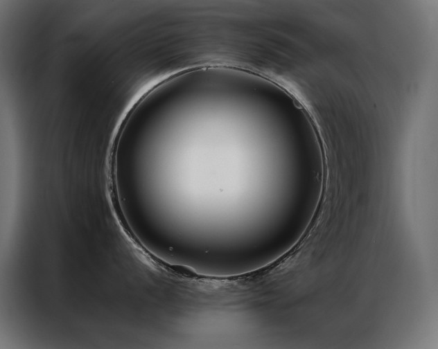 X0000086891056200704161243