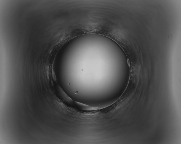 X0000086891058200704161242