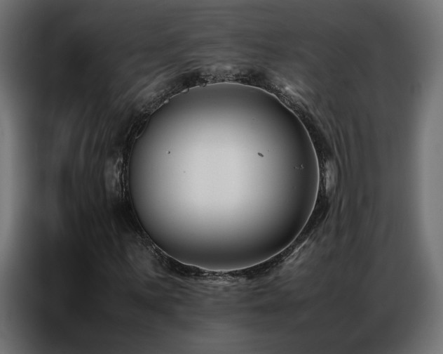 X0000086891059200704161242