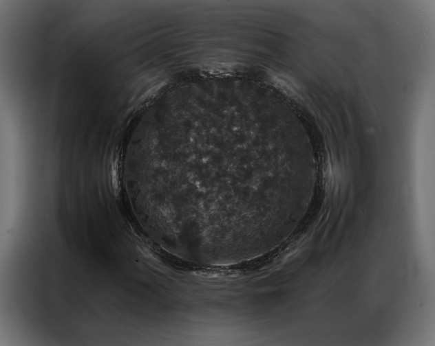 X0000086891060200704161242