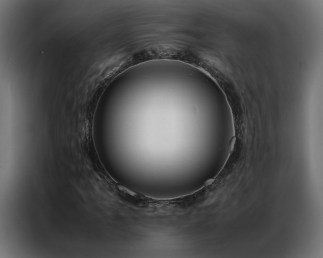 X0000086891061200704161242