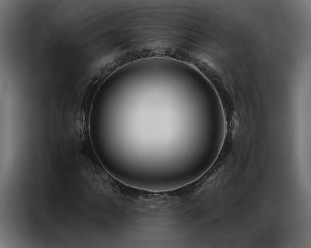 X0000086891062200704161242