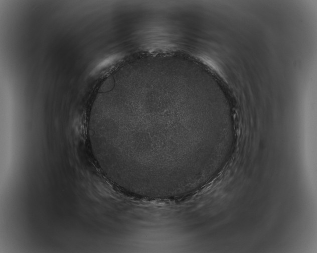 X0000086891063200704161242