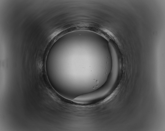 X0000086891065200704161242